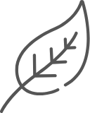 Leaf icon